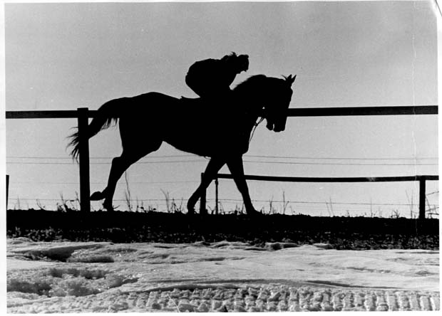 Horse Racing