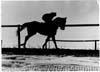 Horse Racing