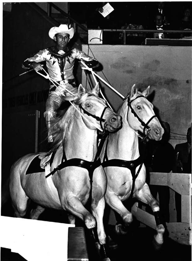 Horses
