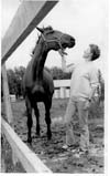 Horses