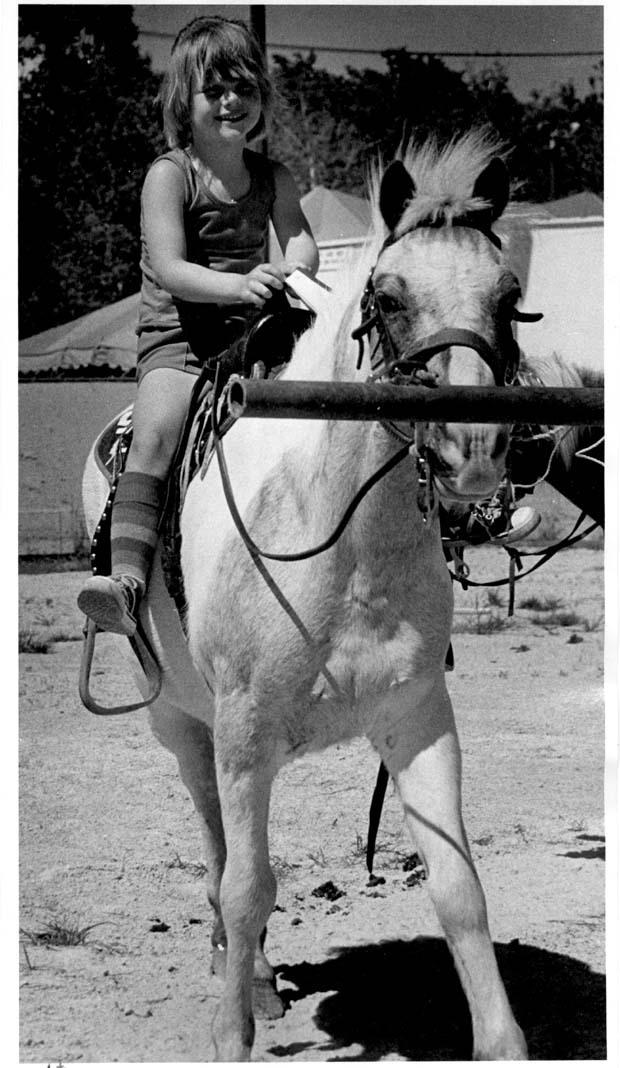 Horses