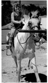Horses