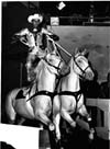 Horses