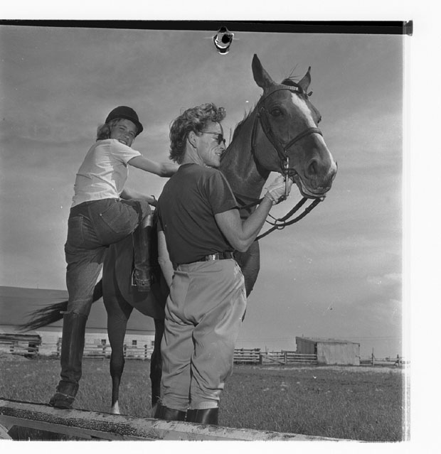 Horses
