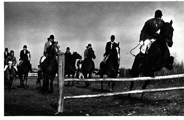 Horses