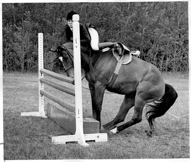Horses