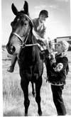 Horses