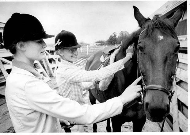 Horses