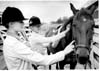 Horses