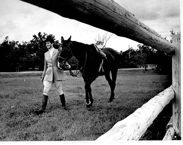 Horses