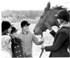 Horses