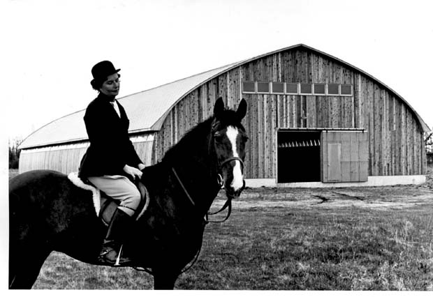 Horses