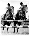 Horses