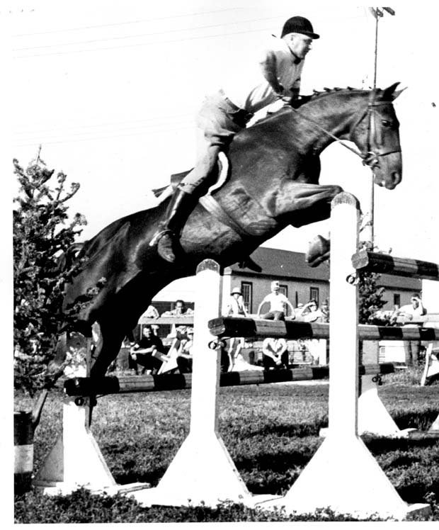 Horses