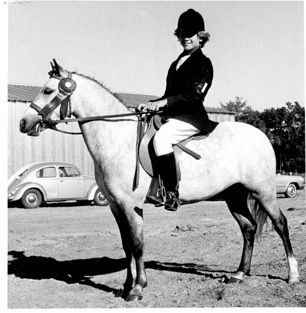 Horses