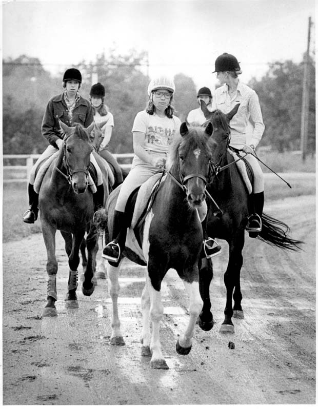 Horses