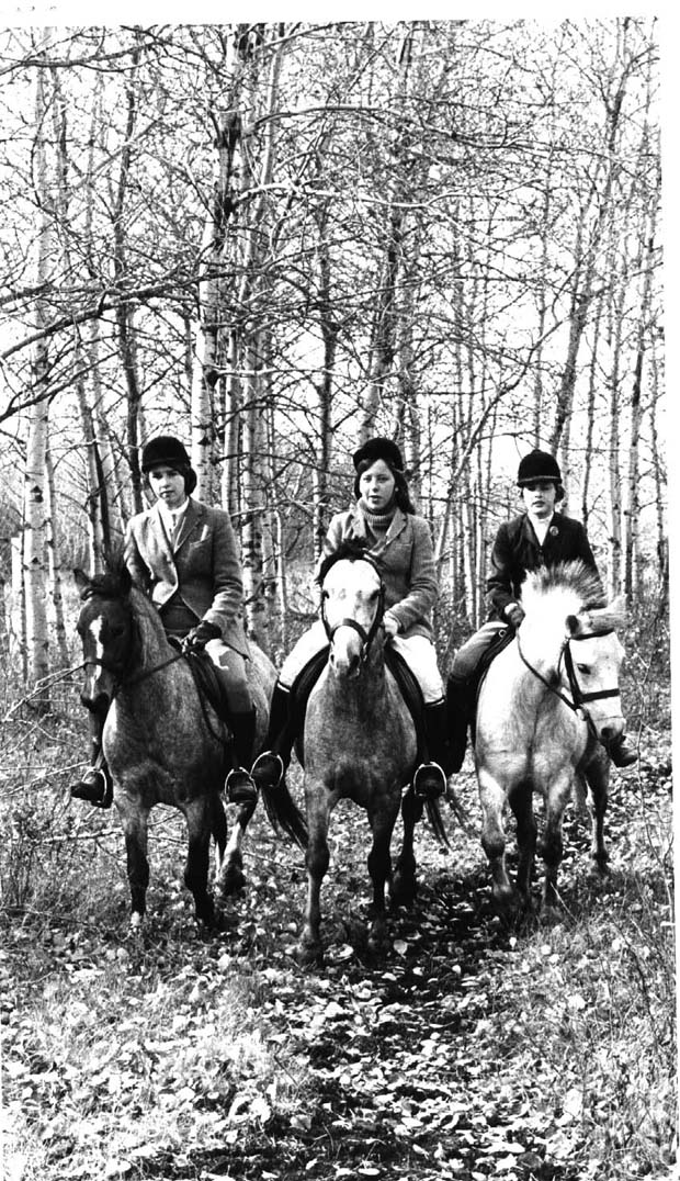 Horses