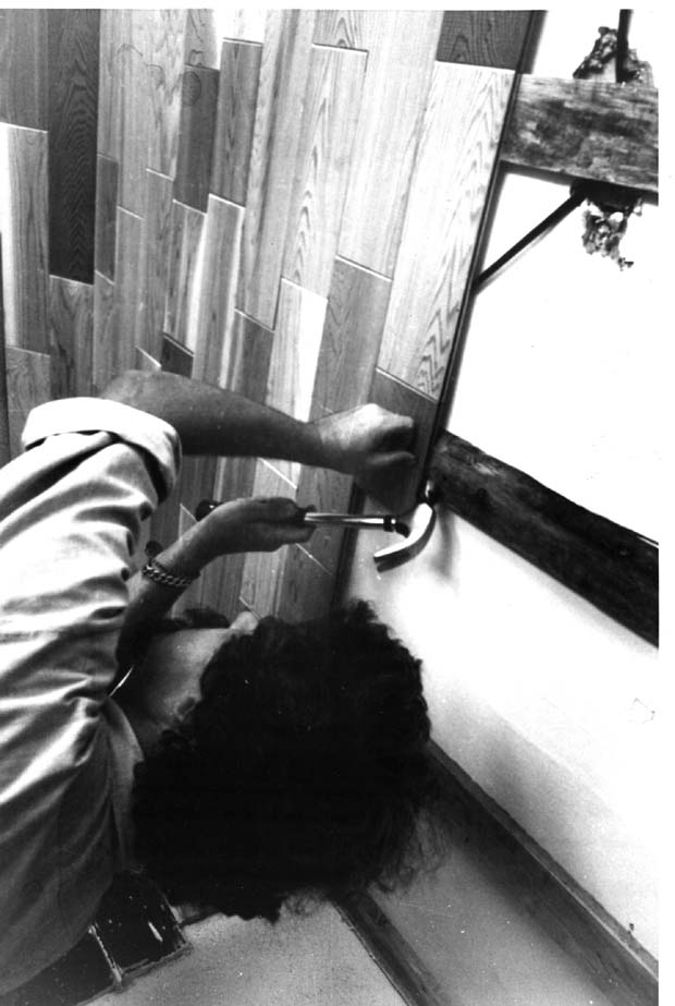Houses Maintenance and Repair