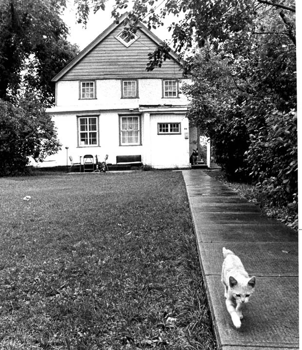 Housing Historical