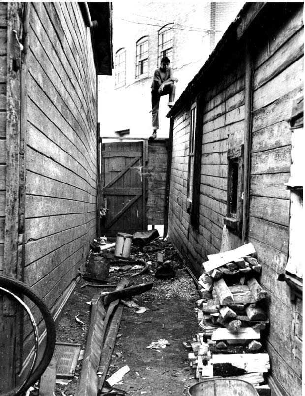 Housing and Urban Renewal