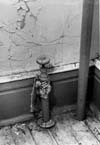 Housing and Urban Renewal