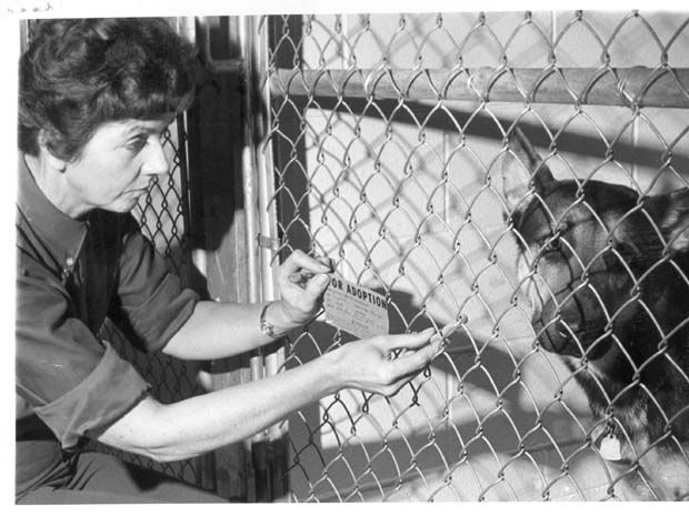Humane Society