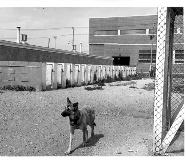Humane Society