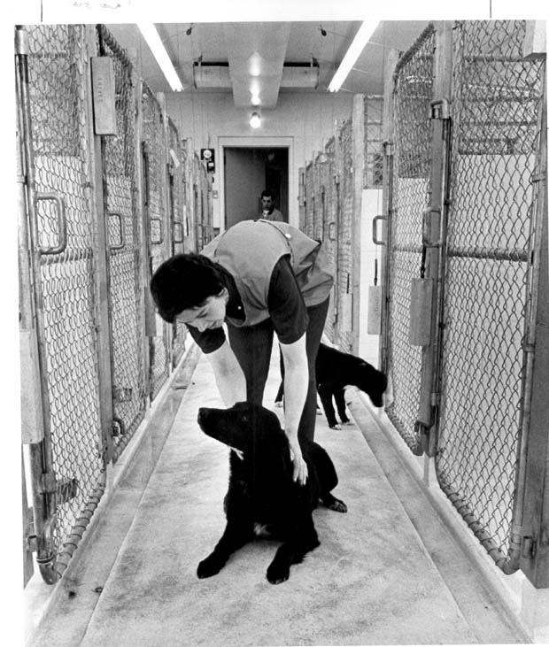 Humane Society