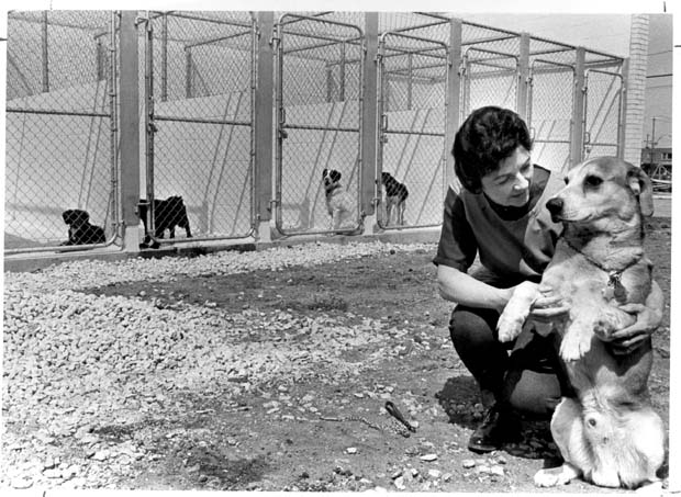 Humane Society