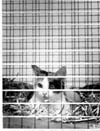Humane Society