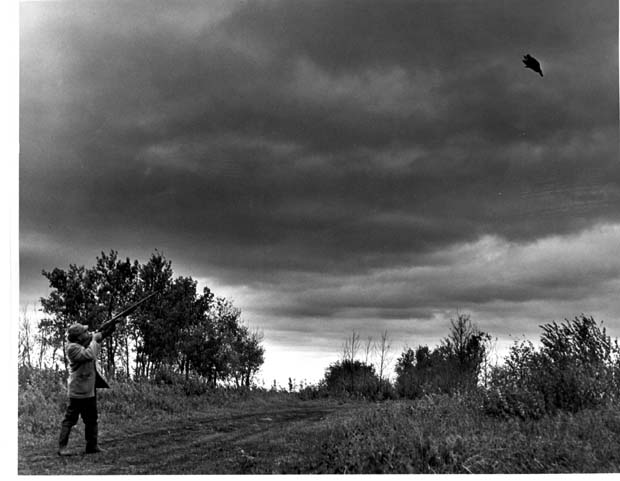 Hunting