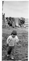 Indians Manitoba
