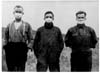 Influenza including Swine Flu