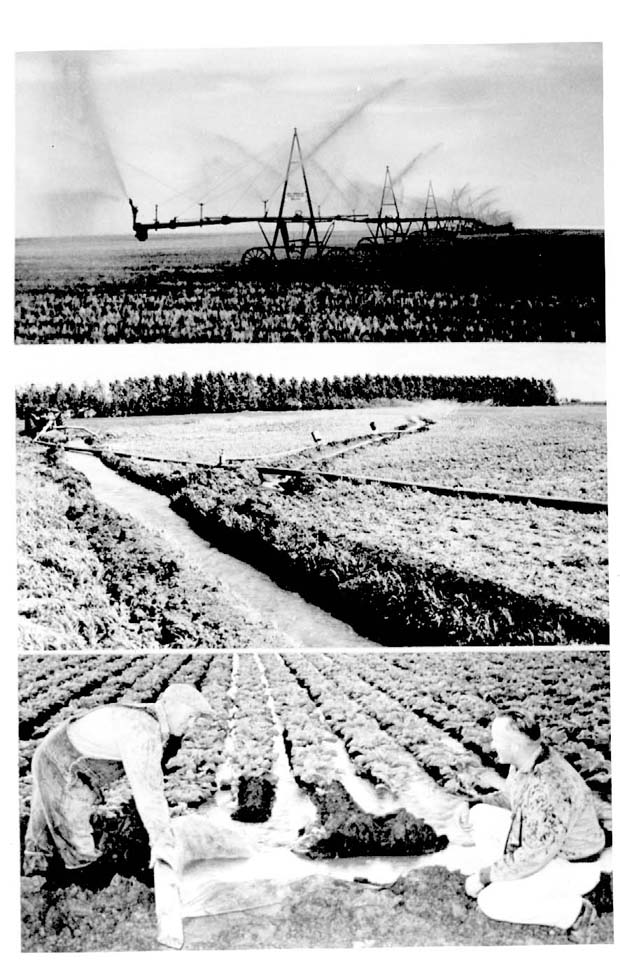 Irrigation