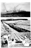 Irrigation