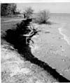 Lake Winnipeg