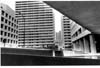 Lakeview Development Ltd.