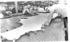 Leather Industry