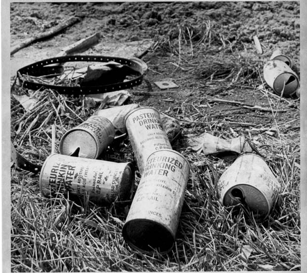 Litter