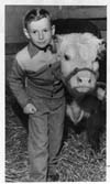 Livestock