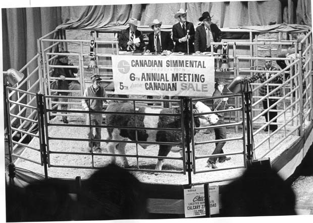 Livestock
