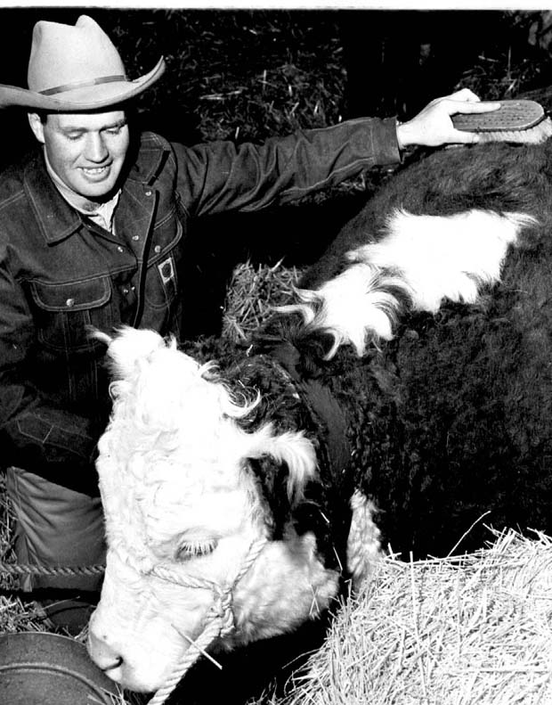 Livestock