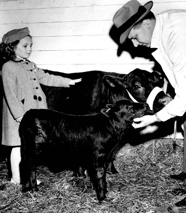 Livestock