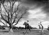 Manitoba Farm Vacation Association