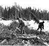 Manitoba Hydro