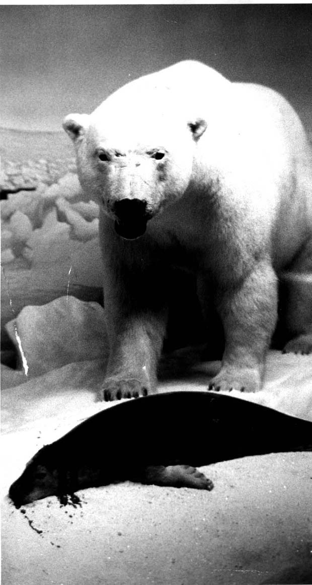 Manitoba Museum of Man and Nature