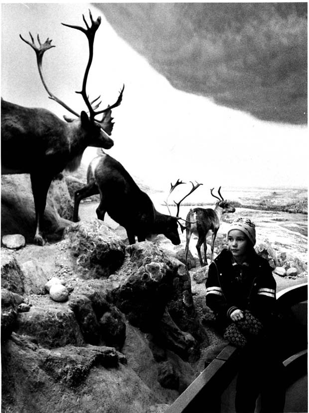Manitoba Museum of Man and Nature