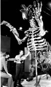 Manitoba Museum of Man and Nature