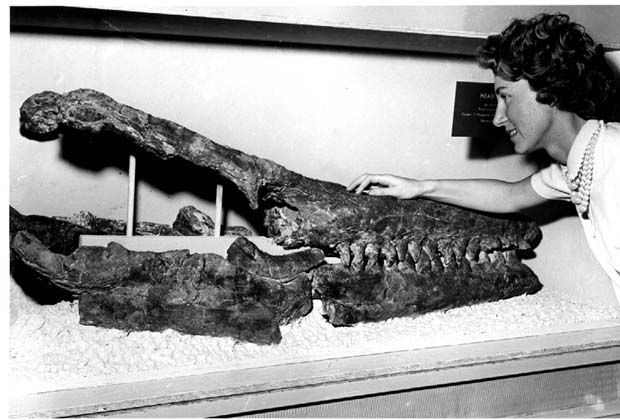 Manitoba Museum of Man and Nature