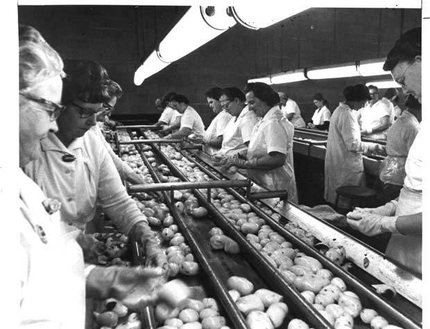 Mc Cains Foods Ltd.